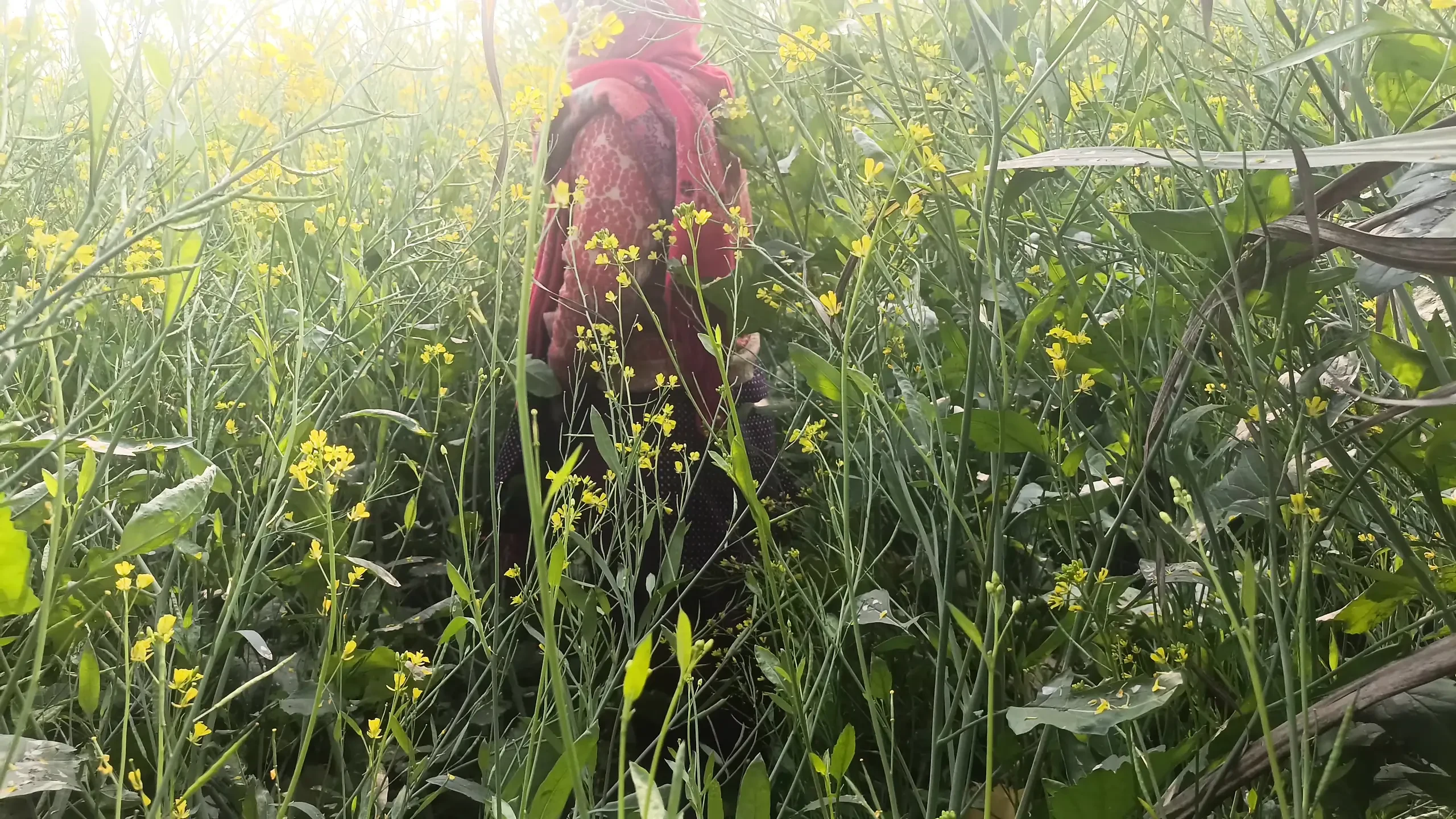 First Time Jungal Me Mangal Xxx Video