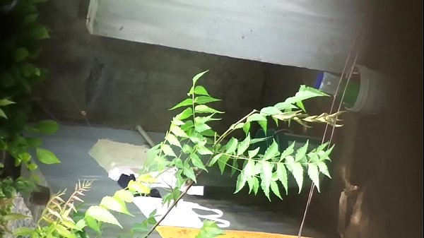 गर्म देसी भाभी की चुलबुली चाल