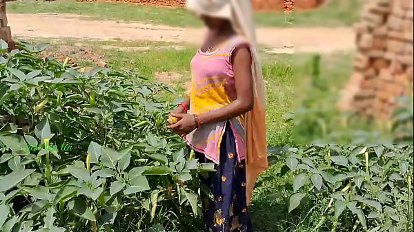 गांव की देसी सौतेली बहन के साथ खेत में जंगली चुदाई