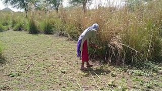 पति तो अच्छा है, पर तू तो अपनी साली को पक्की रंडी बनाने पर तुली है। सुन, तेरी सुहागरात की गर्म तस्वीरें हमारे पास हैं, जब हमने तुझे देसी टॉप टेन की तरह चोदा था।