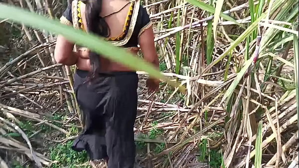 गांव की गर्म स्टेप आंटी को गन्ने के खेत में मोटे लंड से चोदा